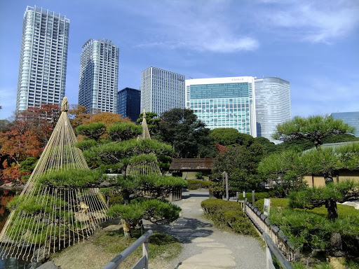 浜離宮恩賜庭園