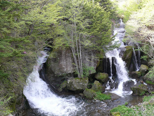 竜頭の滝