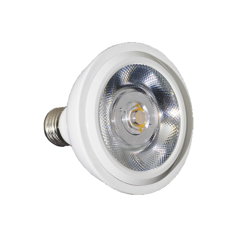 ?נורת לד תוצרת GLOW מדגם PAR 30 13W תושבת E27?