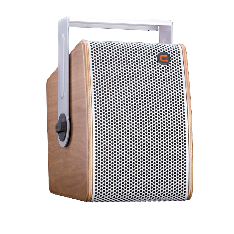 רמקול פאסיבי CELTO ACOUSTIQUE צרפת מדגם IFIX 6 בעוצמה של וואט 120W עץ גודל וופר 6” 1 WAY