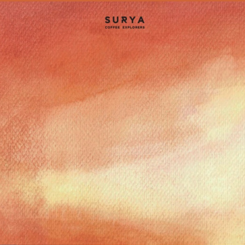 Ethiopia Keffa Wush Wush G1 Heirloom