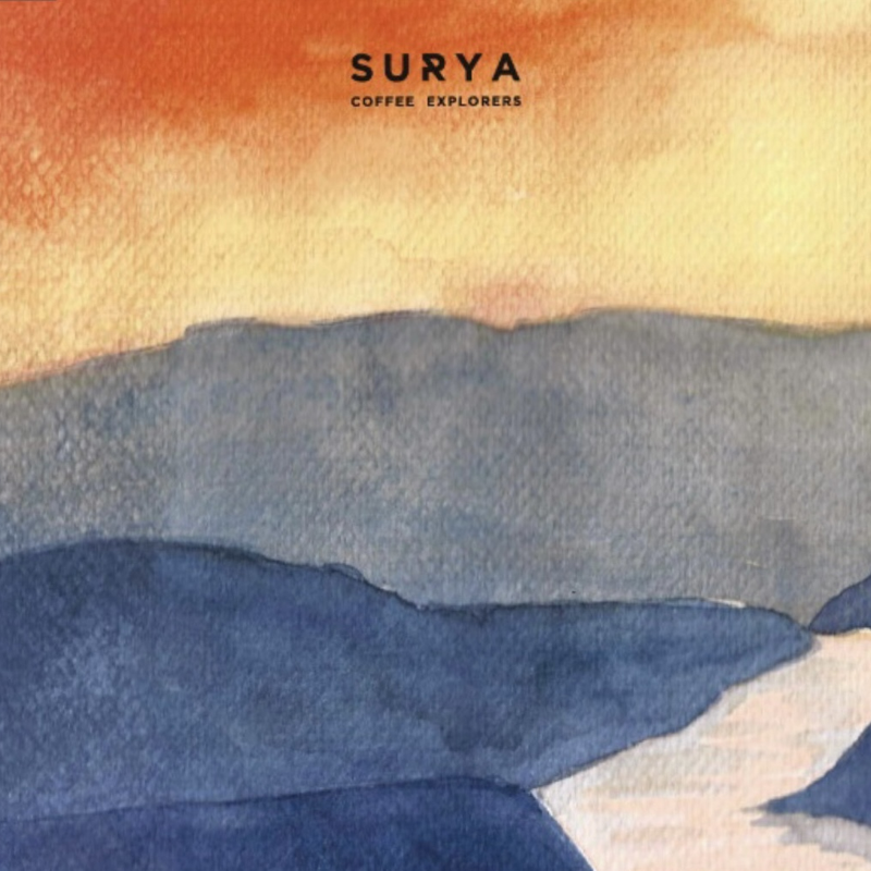 Nicaragua El Avion Catuai/Catimor