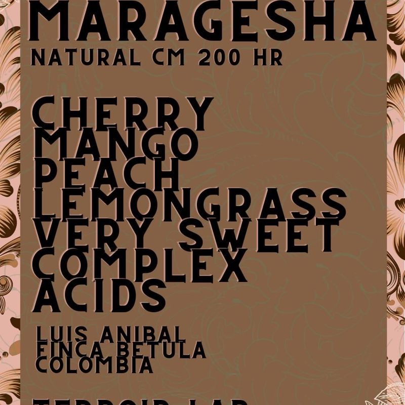 Colombia🇨🇴“Maragesha” Luis Anibal 