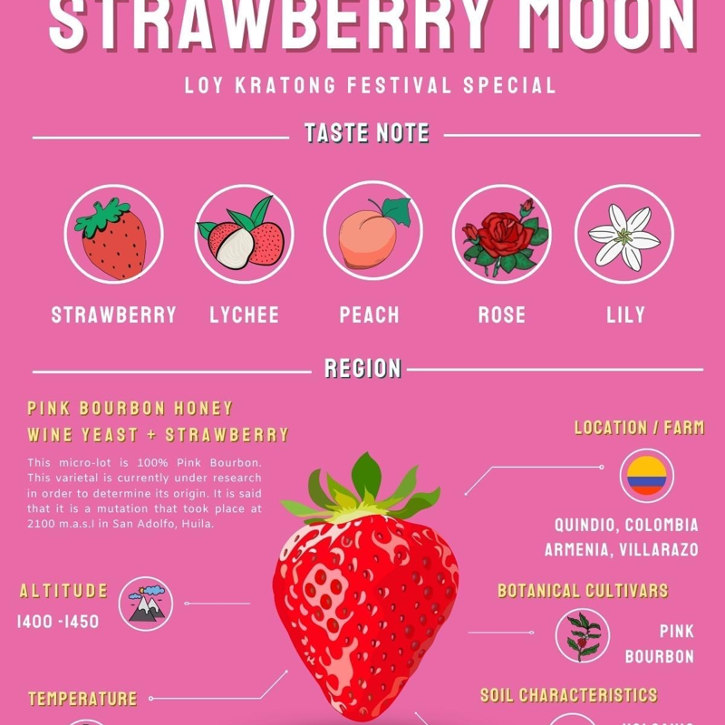 Colombia🇨🇴 Bourbon Armenia Villarazo