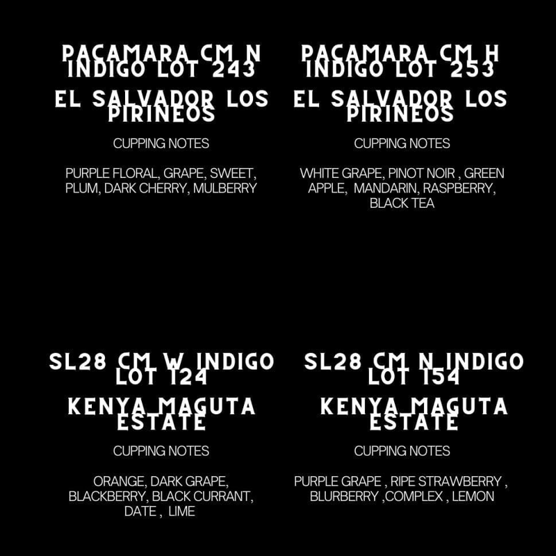 el Salvador🇸🇻Los Pirineos“Pacamara”Lot253