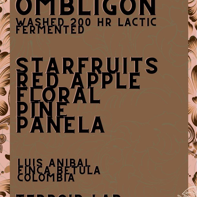 Colombia🇨🇴Luis Anibal “Ombligon”