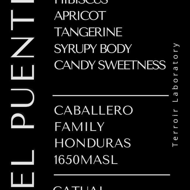 Honduras🇭🇳 Caballero “Catuai”