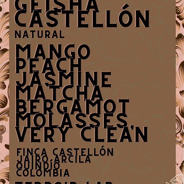 Colombia 🇨🇴 Finca Castellon  “Geisha”