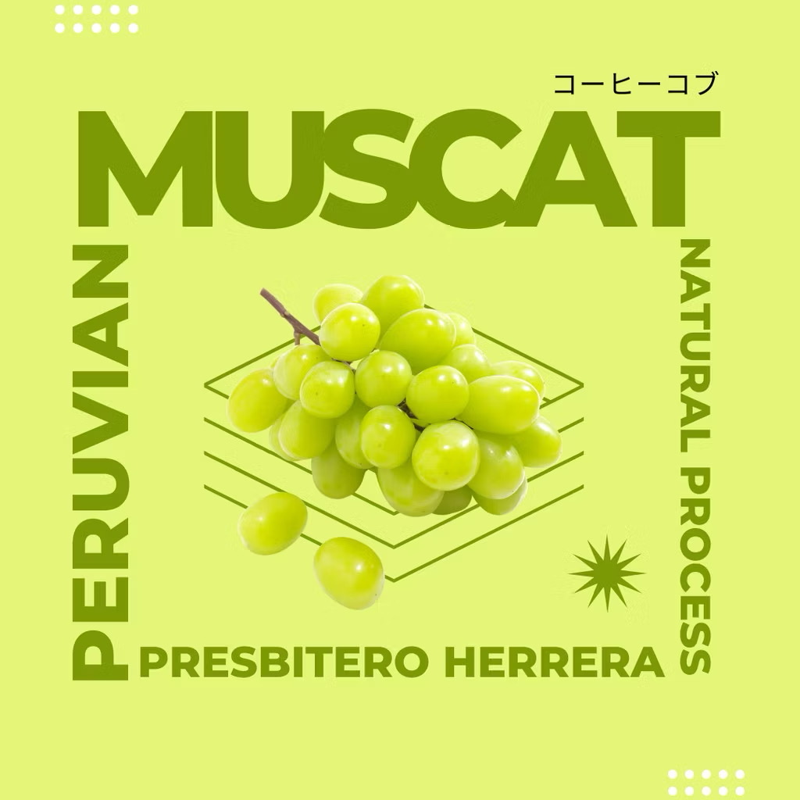 Peru Presbitero Herrera