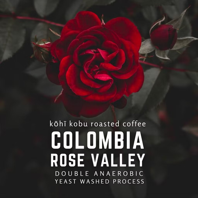 Comlombia Rose Valley