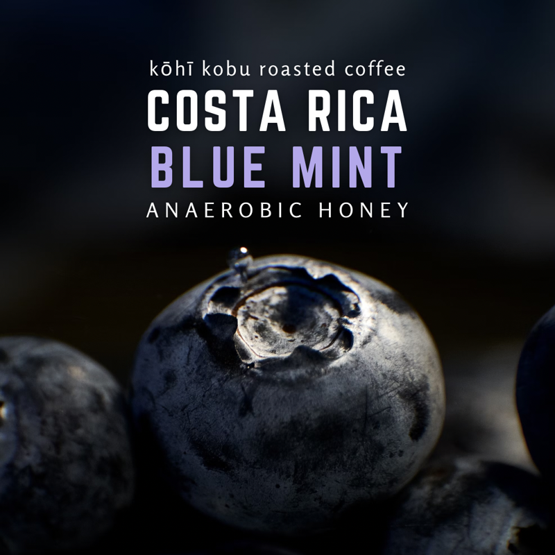 Costa Rica SHB Blue Mint