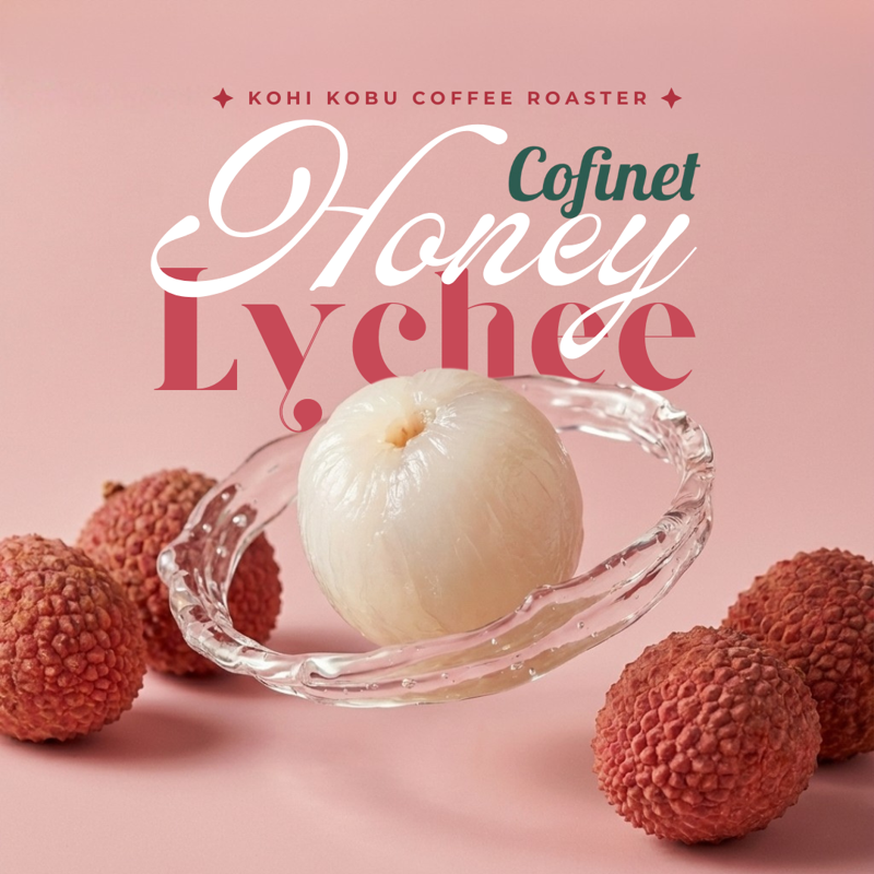 Colombia Cofinet Castillo Honey Lychee