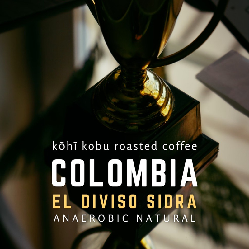 Colombia El Diviso Sidra