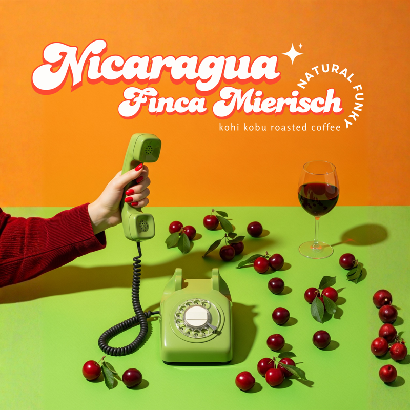 Nicaragua Finca Mierisch Los Placeres