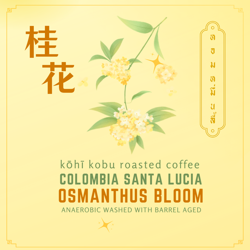 Colombia Santa Lucia Osmanthus Bloom