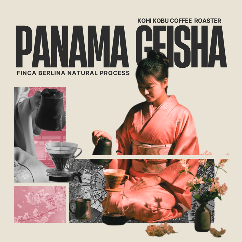 Panama Boquete Finca Berlina Geisha