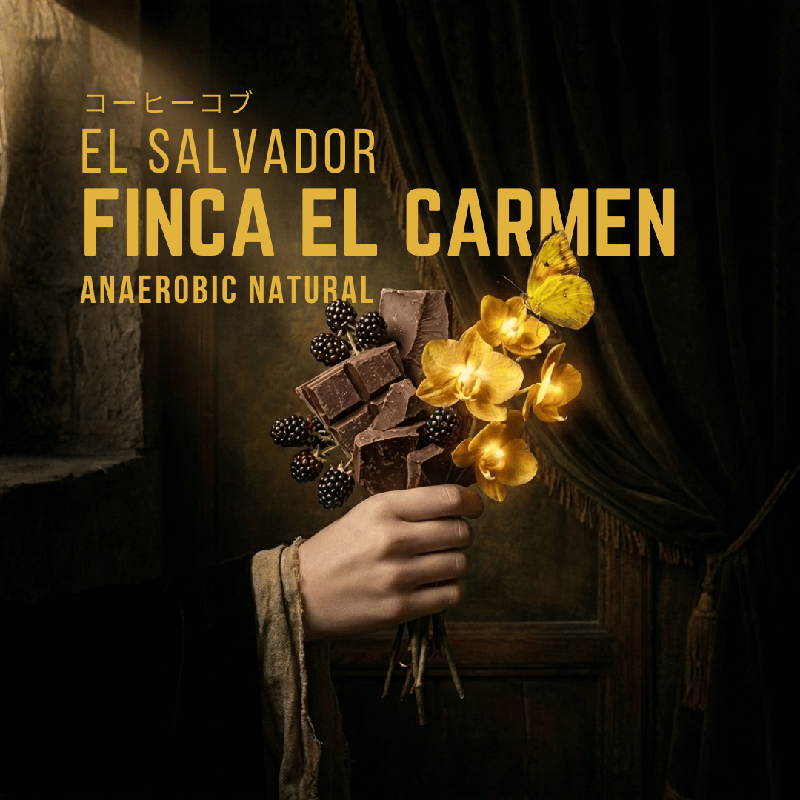 El Salvador El Carmen Yellow Burbon