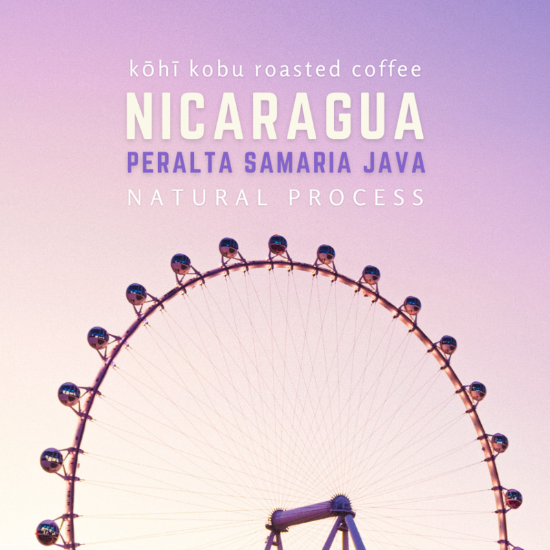 Nicaragua Peralta Samaria Java