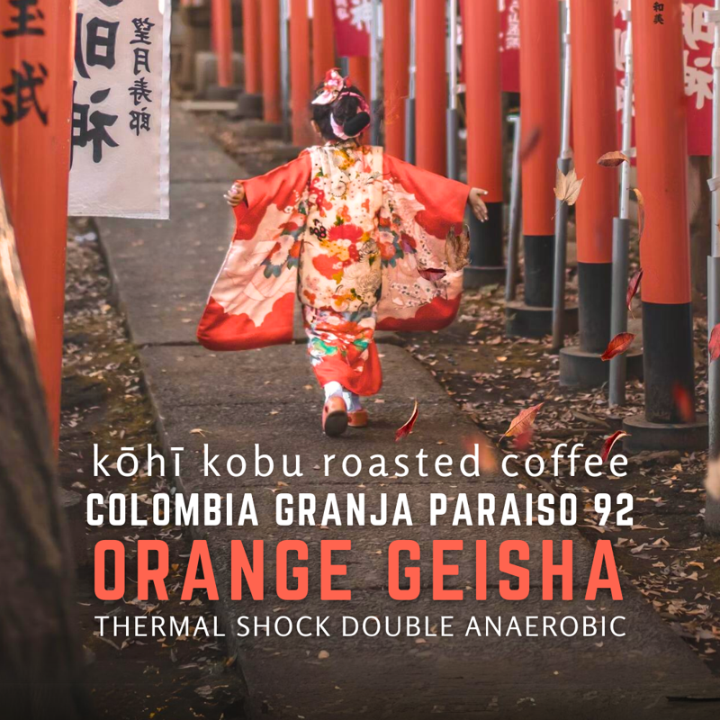 Colombia Granja Paraiso 92 Orange Geisha