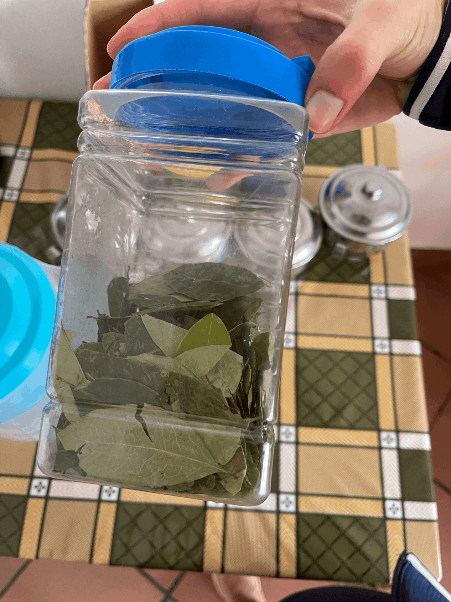 Les feuilles de coca