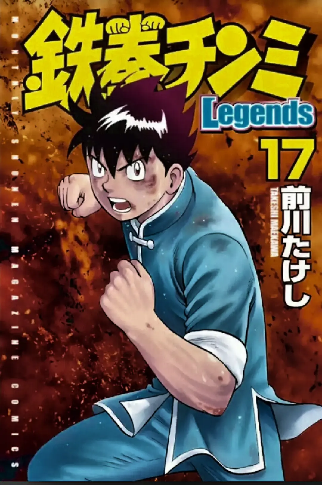 Volume 17