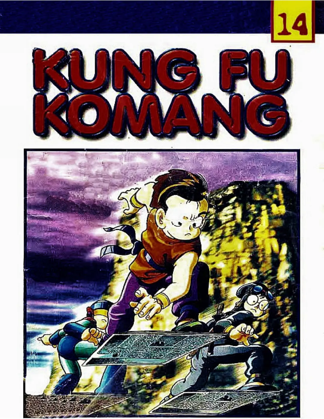 Volume 14