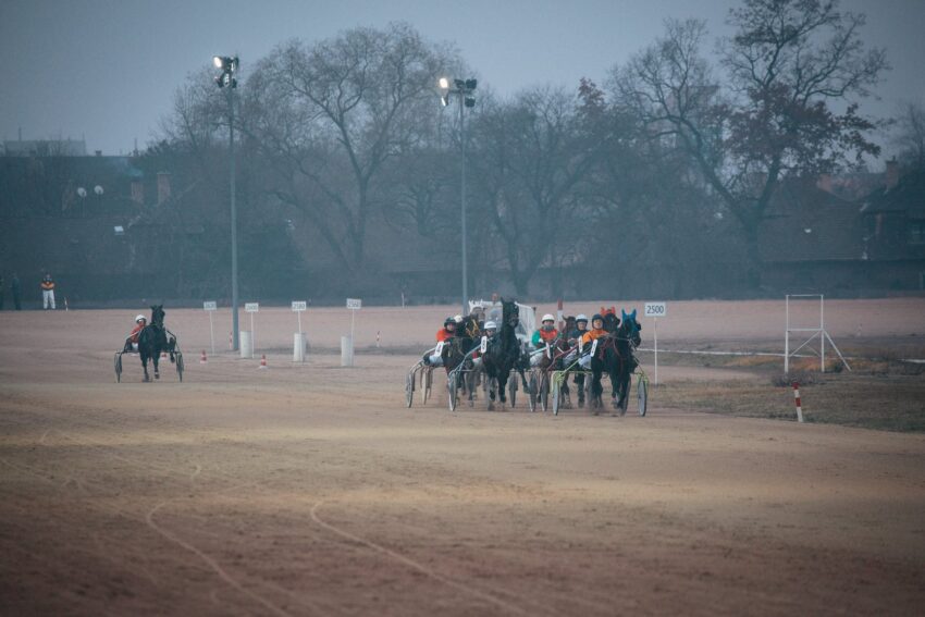 close up shot of horse racing