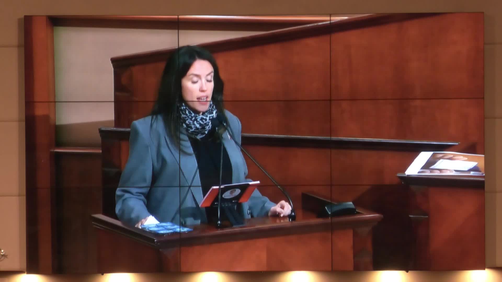 İBB Meclisi’nde Seda Türkoğlu Çam’dan sert eleştiriler: Seçim sonucunun kurayla hazmedilmemesi ve edep