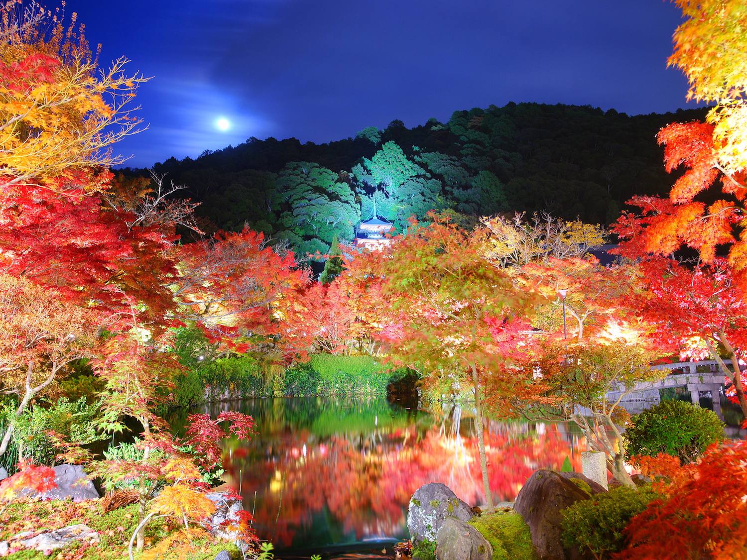 待たずにスムーズ 京都の永観堂で紅葉ライトアップを楽しむ 旅行記事 Emo エモ 旅メディア