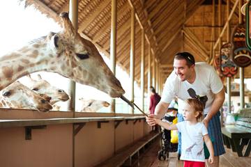 バンコクのおすすめ動物園は？象、トラ、ワニと直接ふれあう！