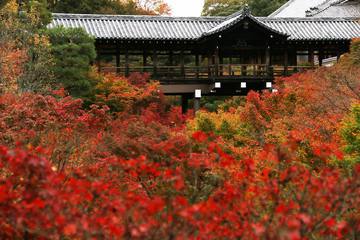 東福寺の知られざる魅力を紹介！紅葉以外の楽しみ方
