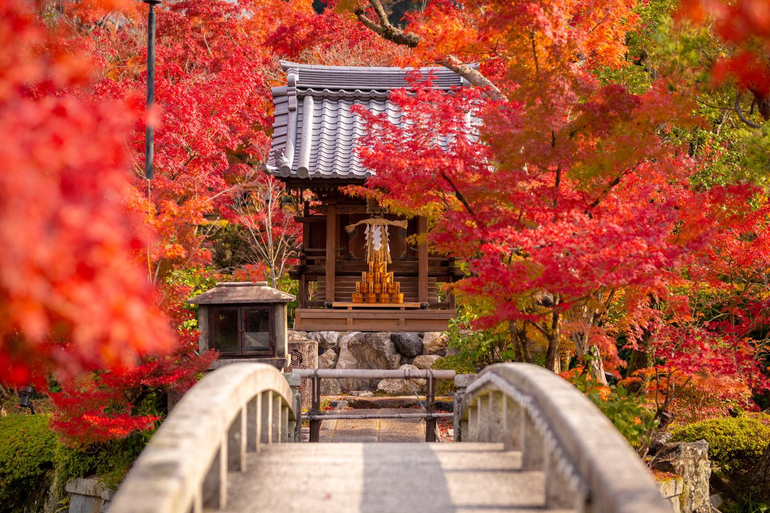 11月の京都は紅葉が見頃 おすすめ紅葉スポットから秋の味覚まで徹底解説 海外旅行 日本国内旅行のおすすめ情報 Veltra Zine ベルトラ