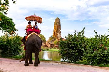 タイで象乗り体験に挑戦！おすすめの現地オプショナルツアーと注意点