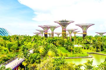 シンガポールを代表する2大植物園！都会の街で森林浴を楽しもう