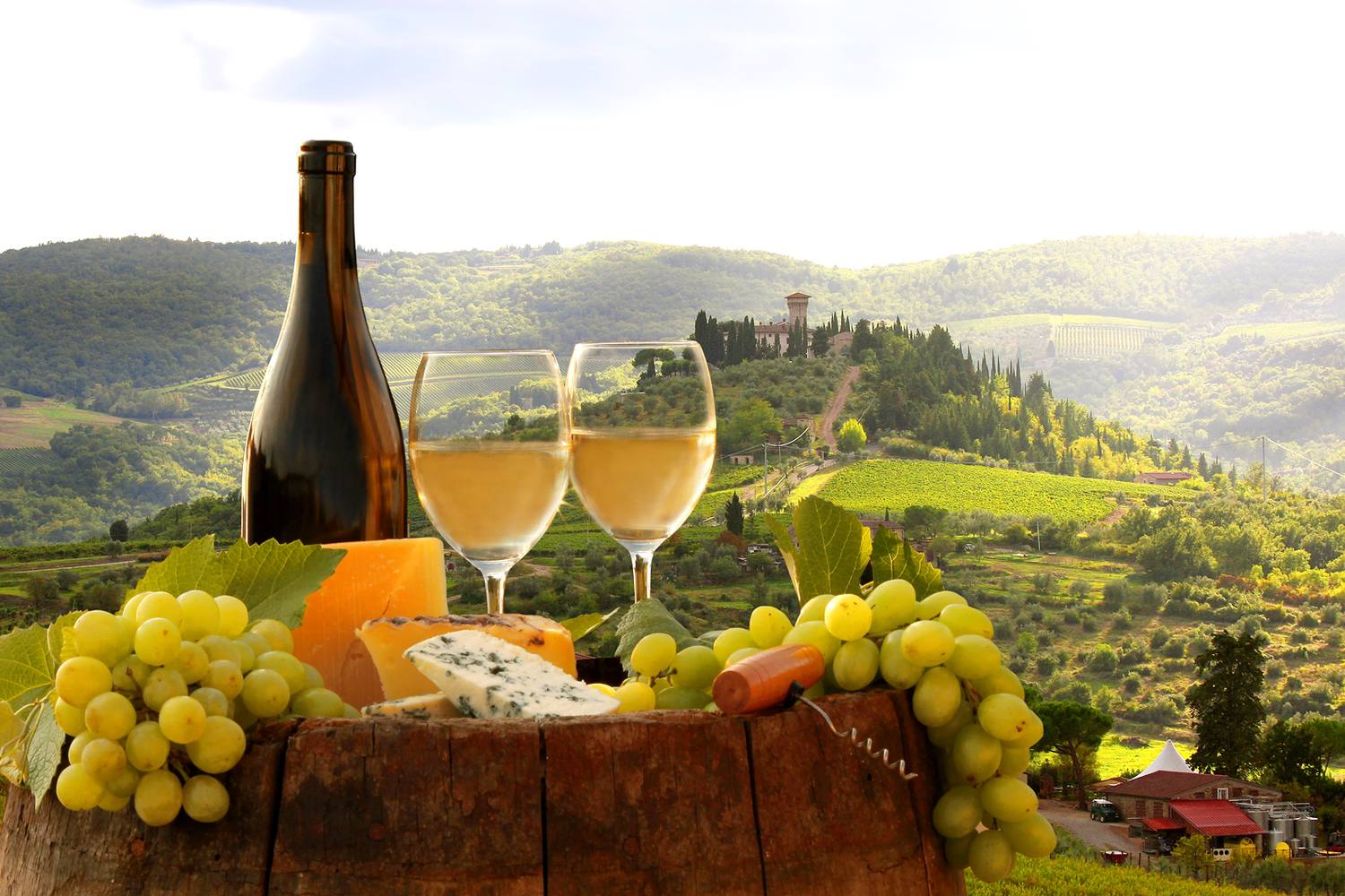 イタリアワインの基礎徹底ガイド イタリア産のブドウ品種や産地も紹介 海外旅行 日本国内旅行のおすすめ情報 Veltra Zine ベルトラ