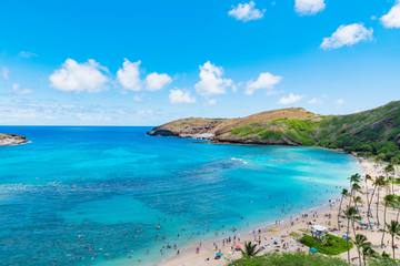 ハワイ旅行で行きたい海は？おすすめのシーズンとアクティビティ