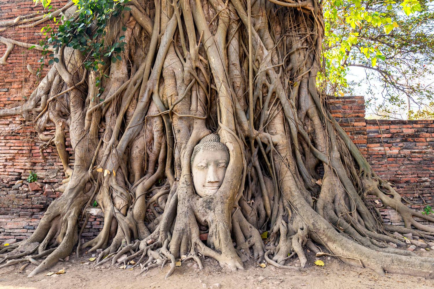 世界遺産アユタヤの見どころは タイ旅行で外せない遺跡巡り 海外旅行 日本国内旅行のおすすめ情報 Veltra Zine ベルトラ