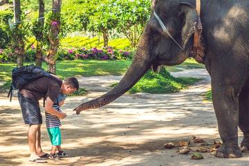 子連れ旅行でバンコクへ！おすすめの観光地、ホテル、レストランは？