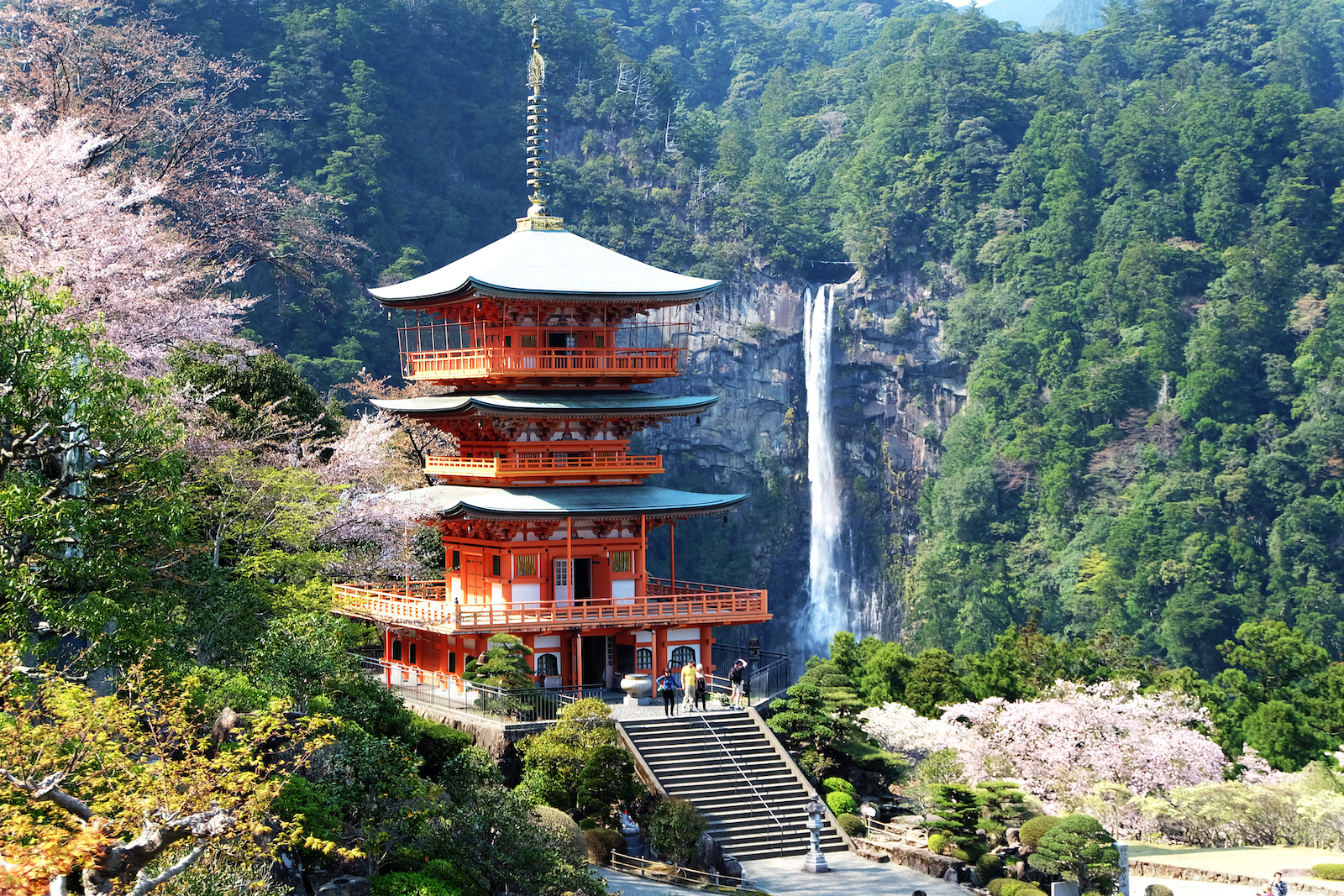 【 VELTRAR’s 旅インタビュー 】和歌山 高野山と熊野古道を巡る旅