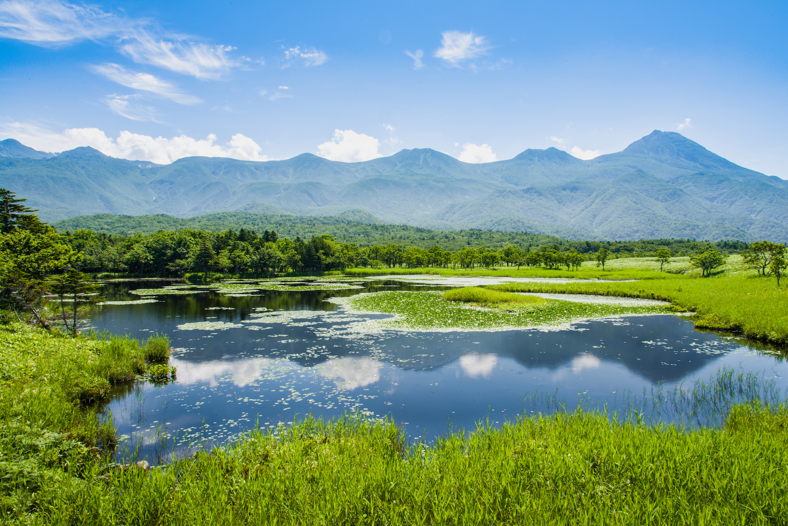 【 VELTRAR’s 旅インタビュー 】北海道の雄大な自然と食を堪能！（後編）