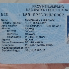 ANNISA ALYA MULYADI
