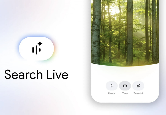 구글 서치 라이브
