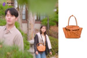 Korean street fashion Tote Bag of Lee Hye-ri as Lee Dam in My Roommate Is a Gumiho (EP #5)