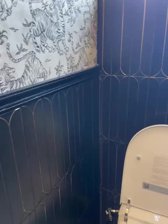 Bathroom walkthrough preview