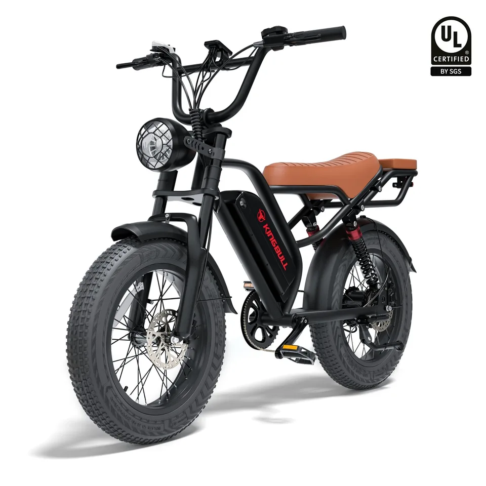 Vintage Off-Road Electric Bike