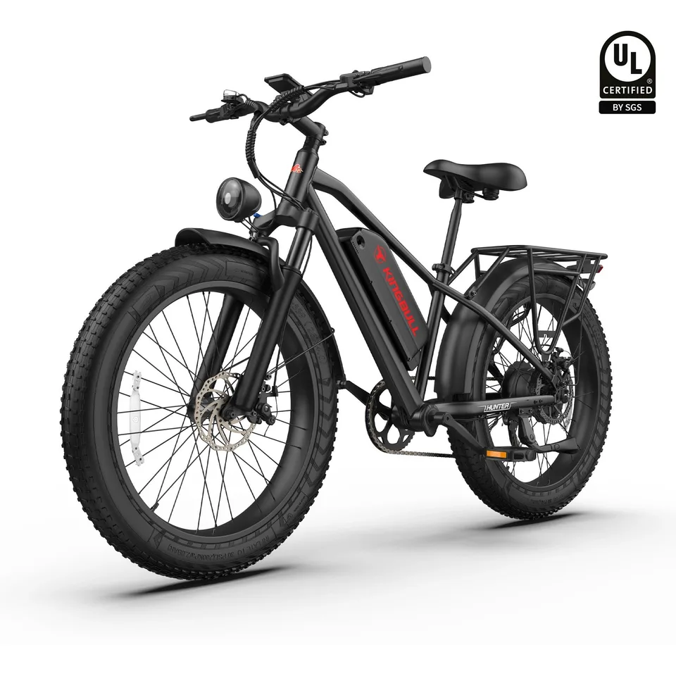 Mountain Fat Tire Electric Bike