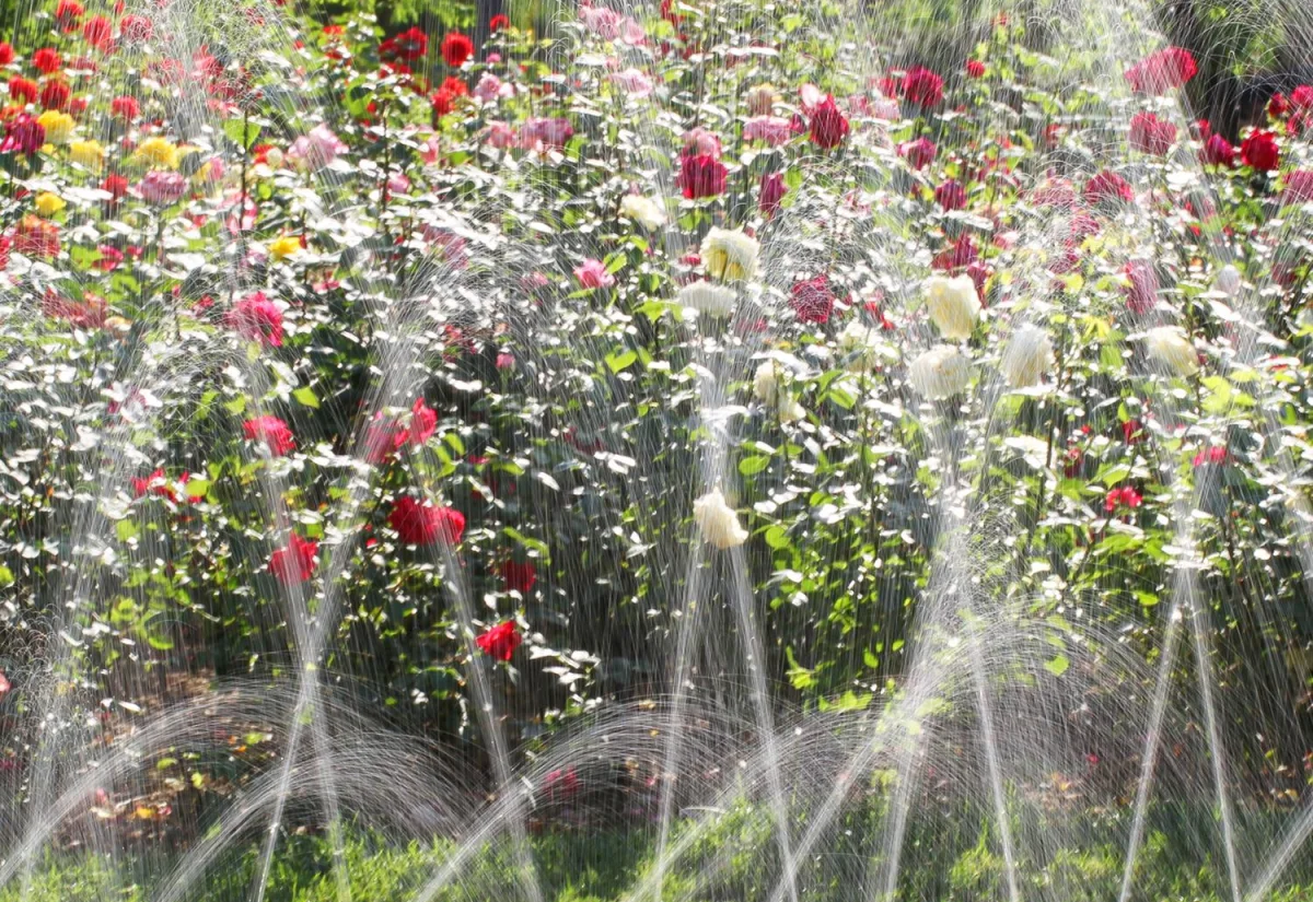 8m Garden Spray Hose Sprinkler (Vinsani) product photo