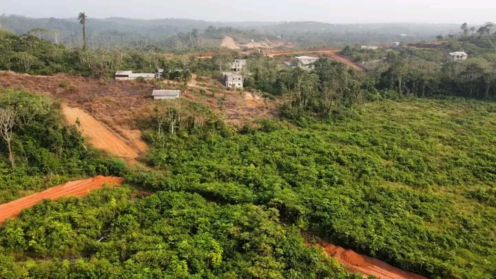 Land for sale at Douala, Dibom II, Dibombari sous-préfecture - 10000 m2 - 70 000 000 FCFA