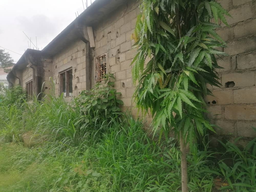 Terrain à vendre à Douala, Logbessou I 487 m2 70 000 000 FCFA