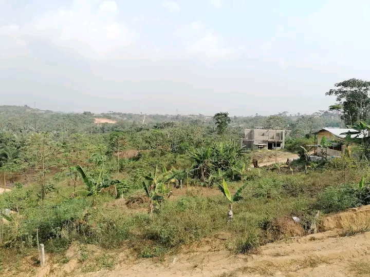 Land for sale at Douala, PK 27, Pk27 - 5000 m2 - 4 000 000 FCFA